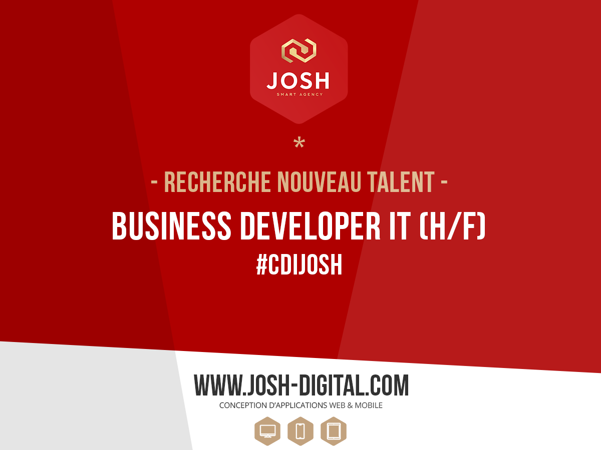 RECRUTEMENT : BUSINESS DEVELOPER IT (H/F) – POSTE EN CDI